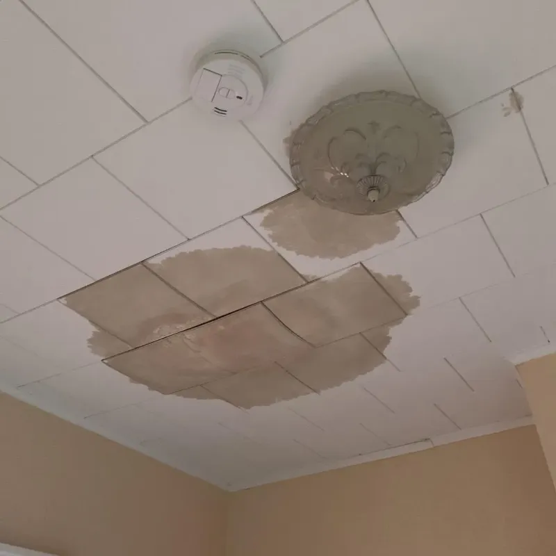 Ceiling Water Damage Repair in Clarkson, NY